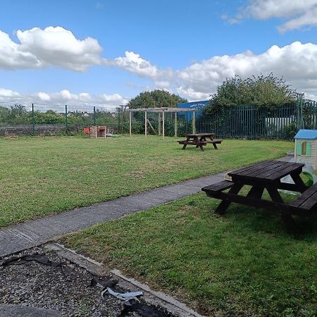 Hostel Y Doc At World Horizons Community Hub Llanelli Zewnętrze zdjęcie